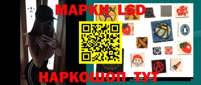 индика Гусь-Хрустальный