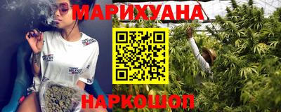 индика Гусь-Хрустальный